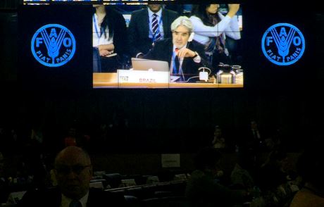Presidência pro tempore brasileira interveio na 44ª Sessão do Comité de Segurança Alimentar Mundial