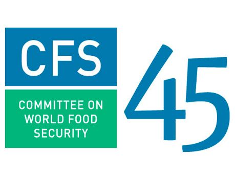 Secretária Executiva participa em reuniões para Segurança Alimentar Mundial