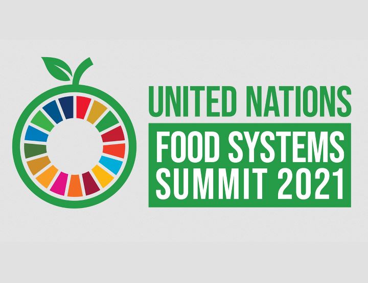 A CPLP e a Cimeira das Nações Unidas Sobre Sistemas Alimentares (UNFSS)