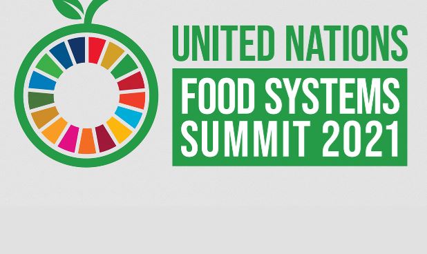 A CPLP e a Cimeira das Nações Unidas Sobre Sistemas Alimentares (UNFSS)
