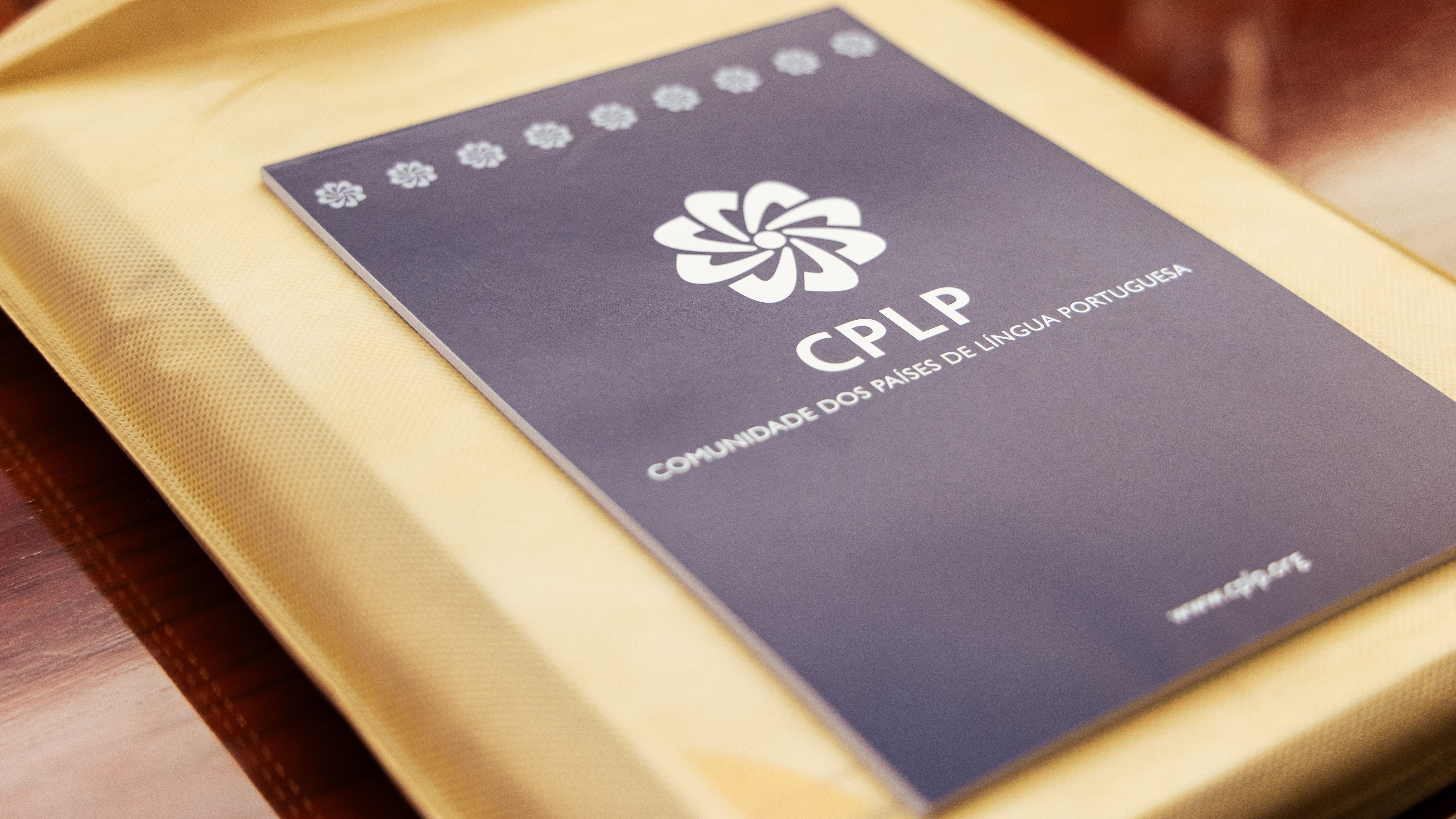 Reunião Sobre Preparação Para Emergências Em Saúde Pública No Âmbito Do PECS CPLP (63)