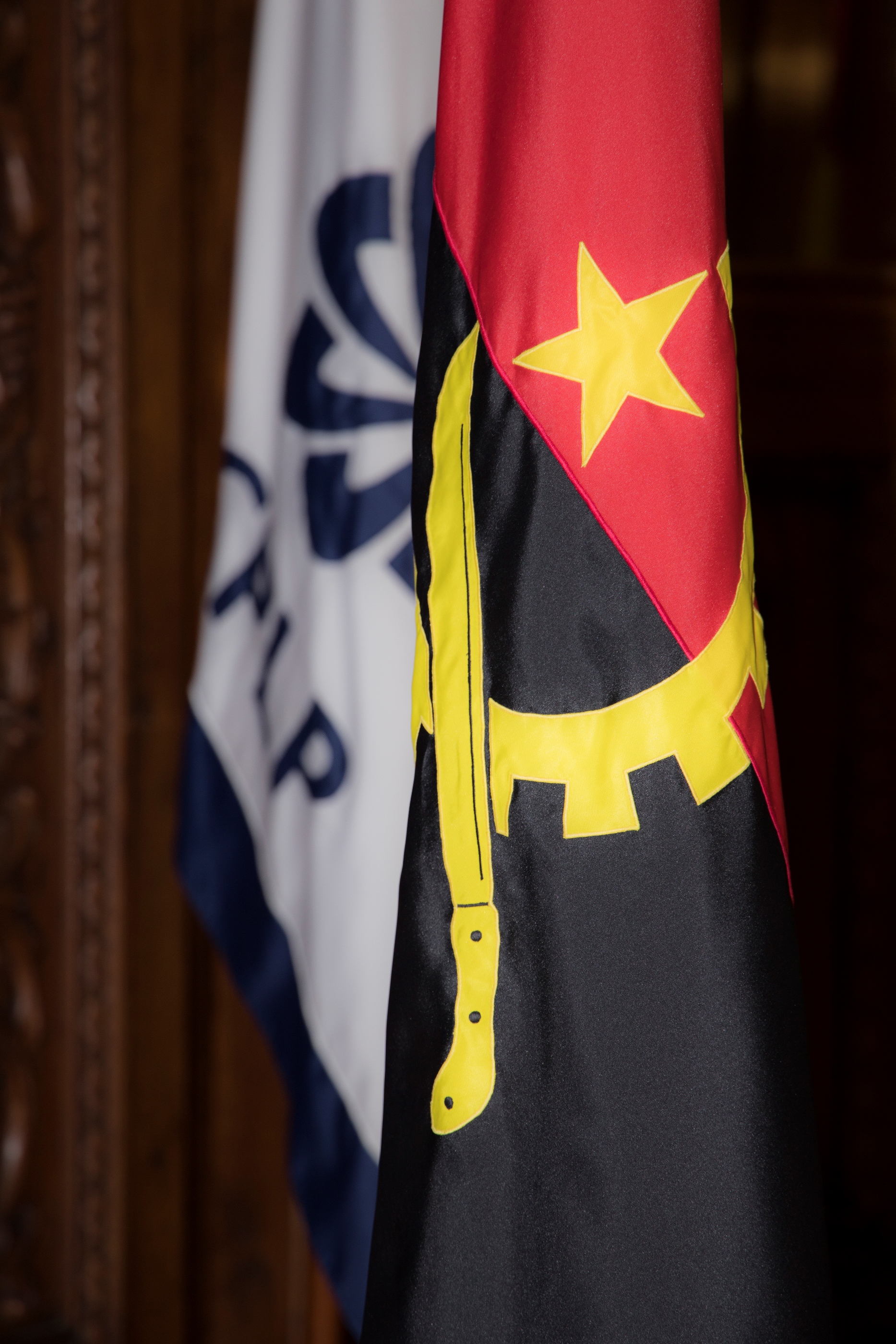 Bandeira AO Vertical