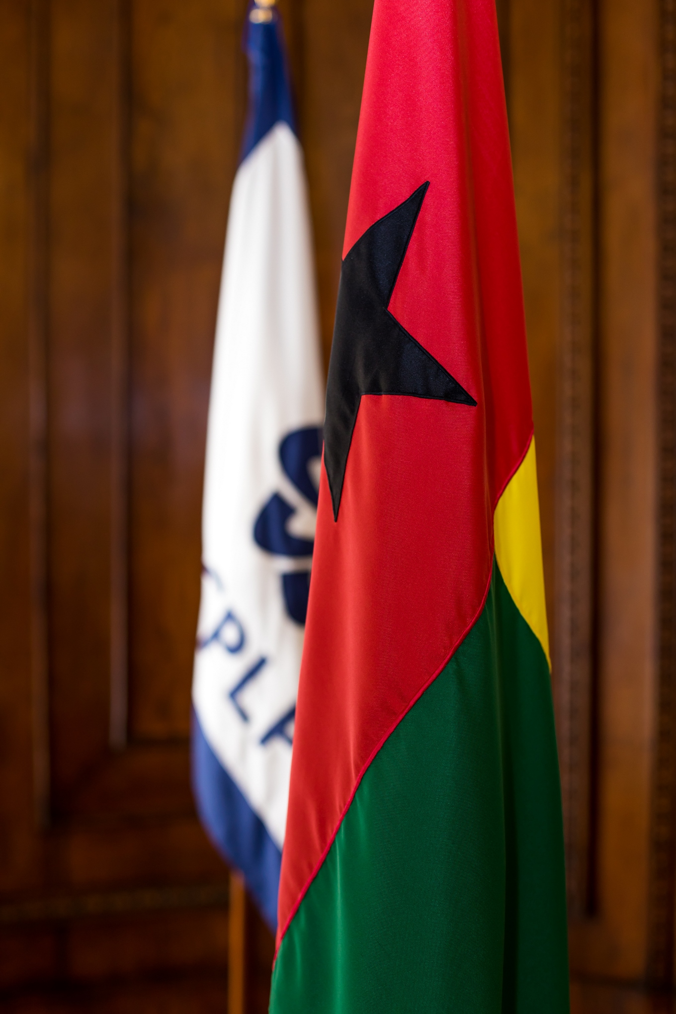 Bandeira GB Vertical