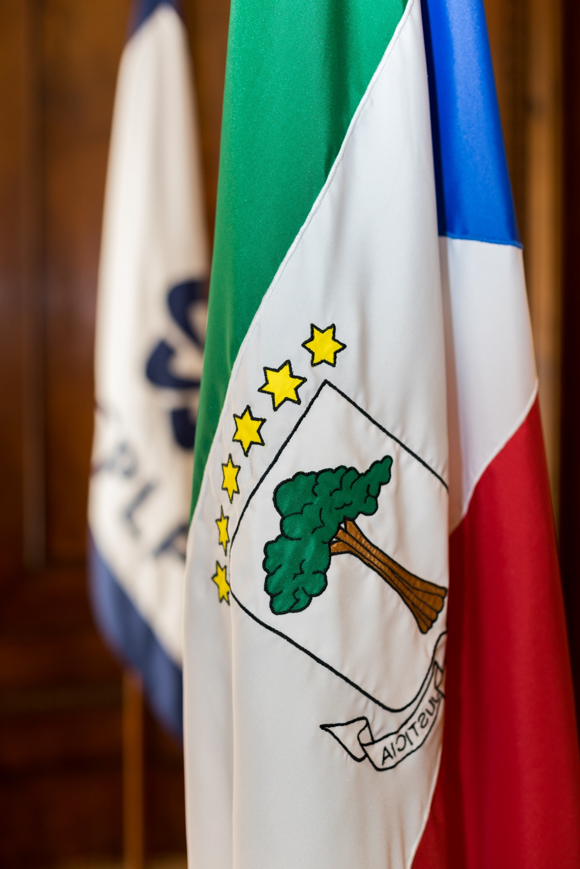 Bandeira GE Vertical