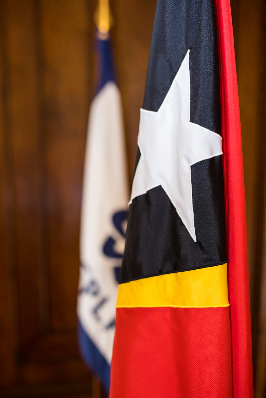 Bandeira TL Vertical