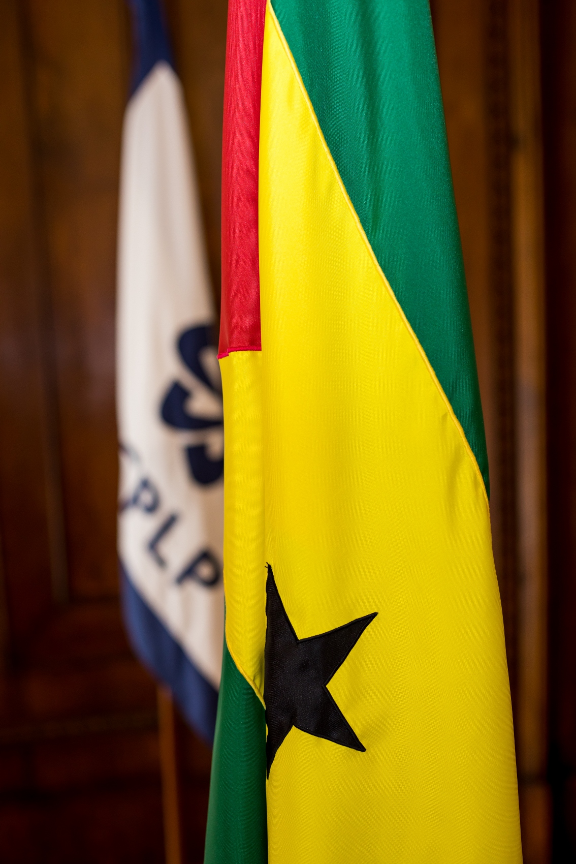 Bandeira STP Vertical