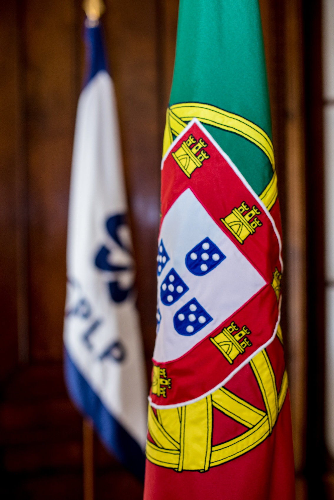 Bandeira PT Vertical